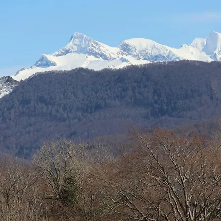 Dans Les Pyrenees La Des Evades