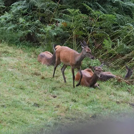 Dans Les Pyrenees La Des Evades Holiday home *