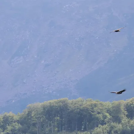 Dans Les Pyrenees La Des Evades *